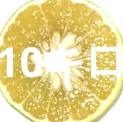 果汁たっぷり!青みかん 農薬不使用栽培 摘果ミカン 10キロ