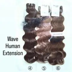 Item thumbnail for item 6658360d-e6de-48e1-ab8f-20dc7896a192