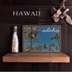 【送料無料】南国の風景☆HAWAII No.732 　フレーム付 　A4サイズ
