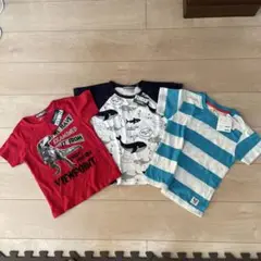【VANDASH 恐竜T、クジラT】 【KIDUPsTEMPOボーダーT】3枚