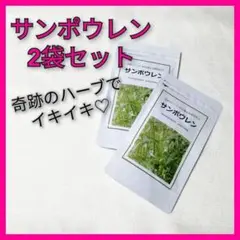 【安心の2袋♡】サンポウレン サプリメント 高級 穿心蓮 飲み会 暴飲暴食