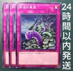 遊戯王　針虫の巣窟　はりむしのそうくつ　ノーマル　3枚