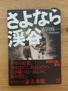 さよなら渓谷