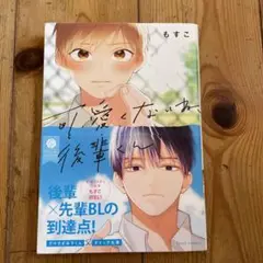 可愛くないね、後輩くん　漫画　BLコミック
