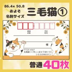 【三毛猫①】宛名シール　差出人シール　普通サイズ　40枚　シンプル　動物　ネコ
