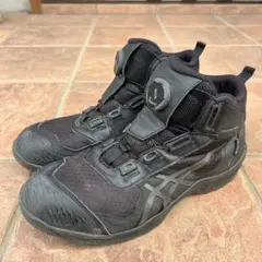 Item thumbnail for item 542c5fd3-dea9-451a-890b-404e2baef1a7