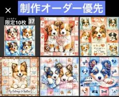 37番 シェルティ 各1枚