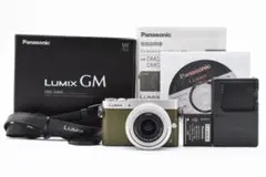 Item thumbnail for item 264e140a-9576-4e85-a7bb-68c36eb93f39