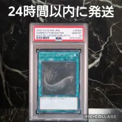 【最安値】ハーピィの羽根帚 PSA10 ホログラフィックレア ホロ 最安値】ハーピィの羽根帚 PSA10 ホログラフィックレア ホロ