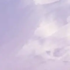 専用出品
