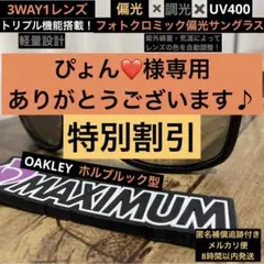 ⭐️偏光・調光サングラス⭐️バス釣り【ライトグレー↔︎ブラック】ホルブルック調⭐️艶消し