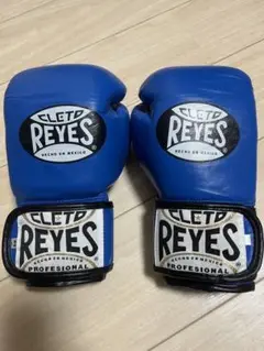 レイジェス REYES ボクシンググローブ 8オンス