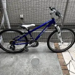 人気美品 ルイガノ ジュニア　LGS-J24 24インチ　MTB 250506 j24_bl.jpg