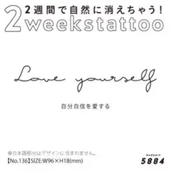 2週間で消える♡ジャグアタトゥーシール