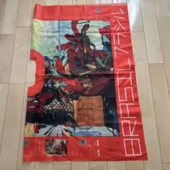 Item thumbnail for item f42751c4-cb02-45cc-badf-4deeb95b90f2