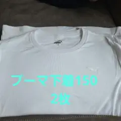 下着　PUMA ホワイト Tシャツ 150サイズ 2枚セット