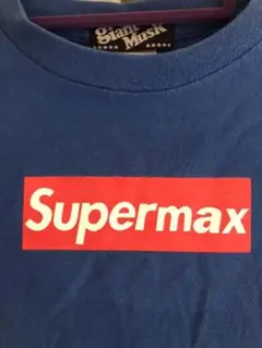ボックスロゴｔシャツ　パロディーｔシャツ