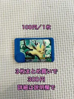 ポケモン　フレンダ　トレジャー　リーフィア