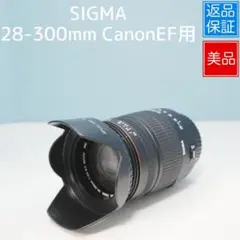 Item thumbnail for item 5d639259-5813-4825-9c48-17e828bd0845