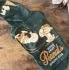 Item thumbnail for item 07367b0b-39d4-4095-aa3a-3cc2aa36ae89