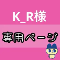 専用ページ