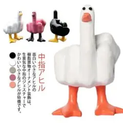 中指アヒル