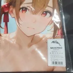 小サイズ　SAO　シリカ　シークレットバスタオル