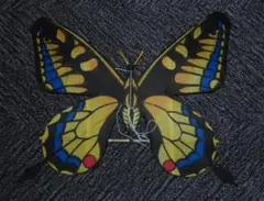 Item thumbnail for item b9153a50-1aef-48fd-b2de-86dcb3e9ec3e