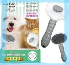 Item thumbnail for item 6cb8cfa7-1efe-4d47-b22c-4d7767221ba3