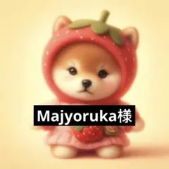 専用ページ
