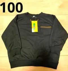 Item thumbnail for item 9efe126a-c863-408f-86fd-e24bb07f7425