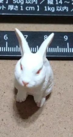 カプセルQ 日本ペット動物大全 飼いうさぎ 白