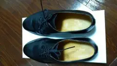 Item thumbnail for item 4f0e57f2-e06d-4830-9311-c373c29c1046