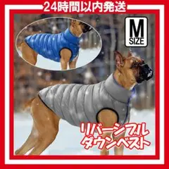 Item thumbnail for item f2e48894-fa53-4d98-ba96-0df0ef51a78f