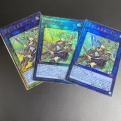 蒼翠の風霊使いウィン レリーフ　3枚