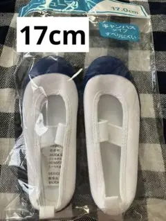 上履き　17cm 青スクールシューズ