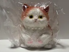 リアルキャットスクイーズ