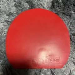 ディグニクス09C