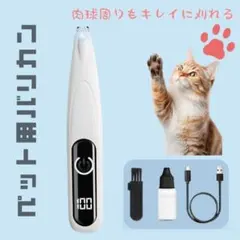 Item thumbnail for item cb20f67b-2d31-4a44-a8ef-47010a7f41c4