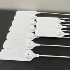 Item thumbnail for item 822c9e40-9cf6-4451-b697-905d75624746