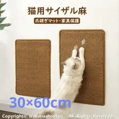 Item thumbnail for item ee5d60f9-6b24-4e0b-b9a8-76c3a94a475f
