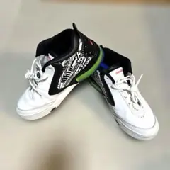 Item thumbnail for item 9a5e6e49-2cf1-40f4-8086-4fb9c3b60eb4