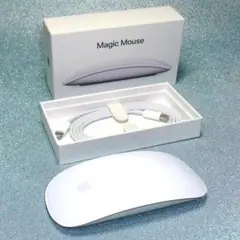 Apple Magic Mouse MK2E3J/A