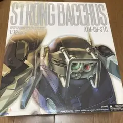 1/12　やまと　ストロングバックス　ATM-09-STC　シール未使用 1/12 ATM-09-STC ストロングバックス (やまと（YAMATO）)