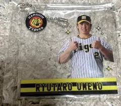 Item thumbnail for item cc5269fa-221a-47fa-a9eb-d24fe3e79591