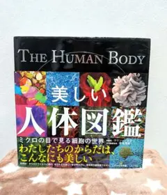 美しい人体図鑑 ミクロの目で見る細胞の世界