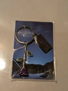Item thumbnail for item 74480715-7349-47b9-a9b5-785bddef5d5b