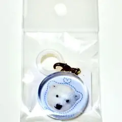 ズーラシア　ホッキョクグマのライくんチャーム