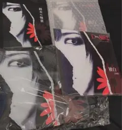 D≒SIRE 独白1999福袋 新品 kαin 藤田幸也 終末の情景