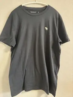 Abercrombie&Fitch クルーネックTシャツ
